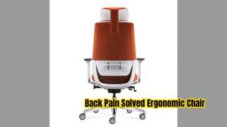 Ergonomic Mesh Chair Lumbar Support Adjustment